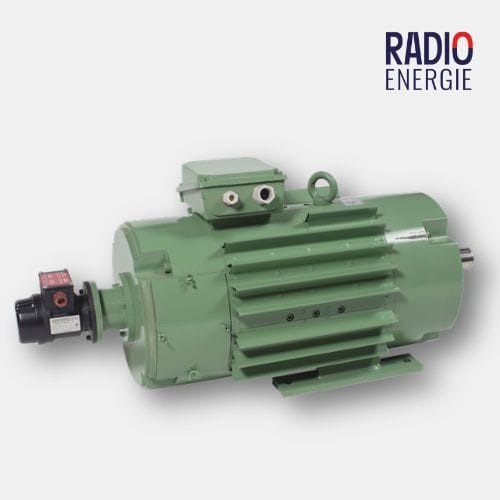 Industrial DC Motor Radio Energie - RE 160MF.55.P